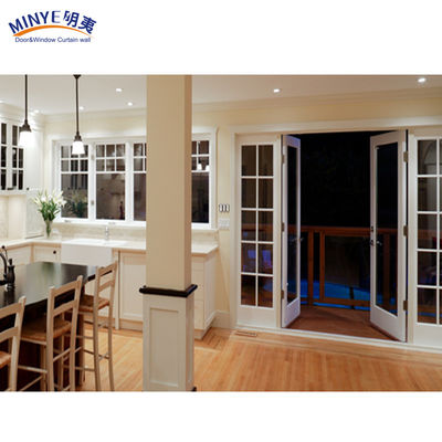 Modern Design Plastic Casement Door for UPVC Door in Plastic Material