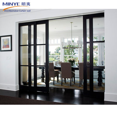 Sliding Door with FiberGlass Screen Netting Material and Powder Coating Profile Finished