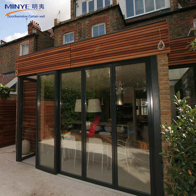Germany Roto Hardware Modern Iron Doors for Traditional Style French Style Folding Doors