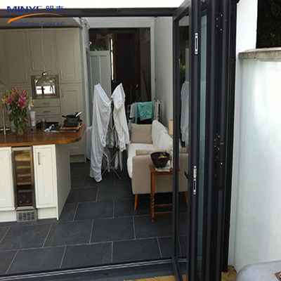 Germany Roto Hardware Modern Iron Doors for Traditional Style French Style Folding Doors