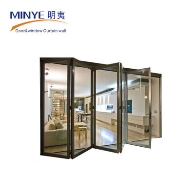 Germany Roto Hardware Modern Iron Doors for Traditional Style French Style Folding Doors