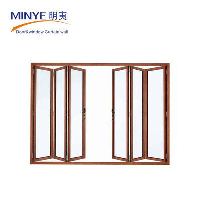 Germany Roto Hardware Modern Iron Doors for Traditional Style French Style Folding Doors