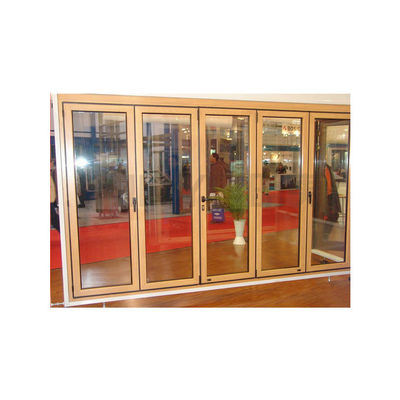 German Design Sound Insulation Coating Finished Aluminum Main Door with Folding Doors
