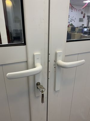 Workshop Door 2023 Style Swing Casement Door with Chinese Top Hardware Promotion