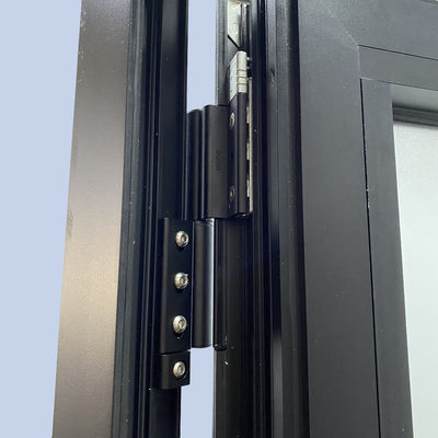 Modern Design Aluminum Alloy Casement Doors with Waterproof Fiberglass Screen Netting