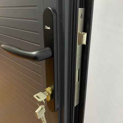 Modern Design Europe Security Steel Door with Locks Hinges and Handle Accessories