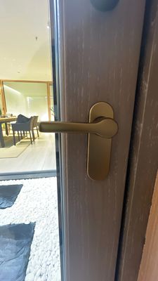 Finished Surface French Office Glass Aluminum Sliding Door for Exterior at Affordable