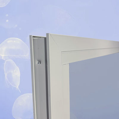 Alumium Frame Double Tempered Glass Black Picture Window for Product Promotion